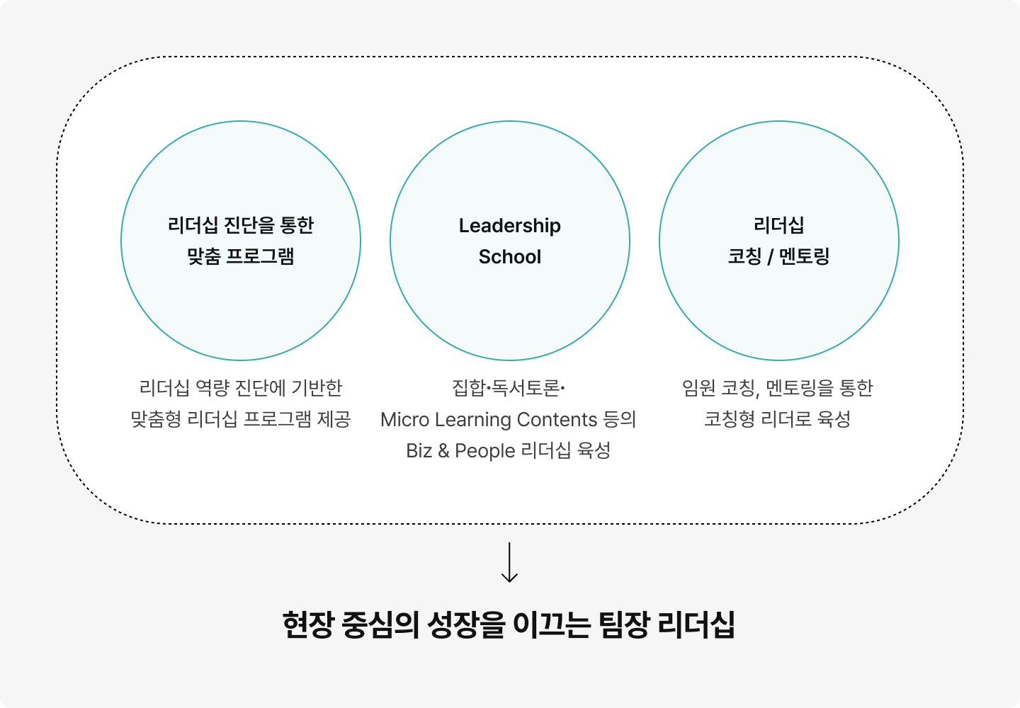 리더 육성 프로그램 다이어그램